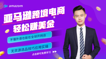 亚马逊|跨境电商|打造暴力店铺运营思路