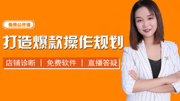 1新手开店找盈利货源 新品全面系统规划运营推广手淘首页免费引流