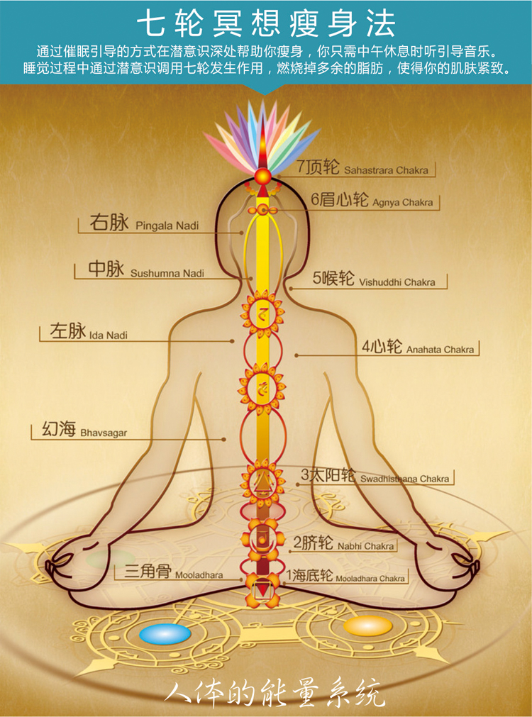 长效减肥套餐-心理减肥法视频 七轮冥想瘦身音乐【达梦青山焱】-学习